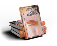 Modlitewnik Apostoła Miłosierdzia oprawa miękka - 4